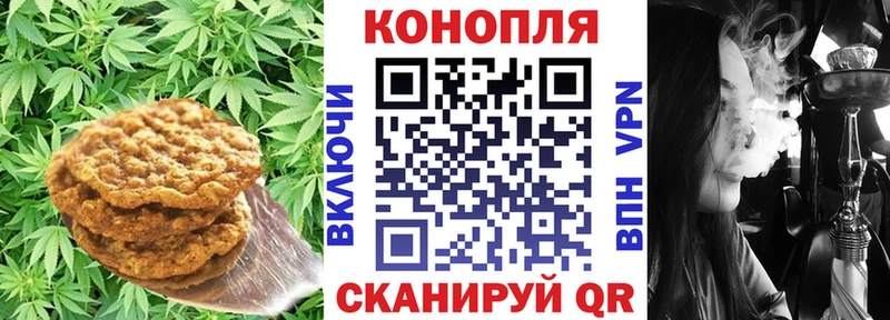 Canna-Cookies марихуана  Купить где  Великий Устюг 