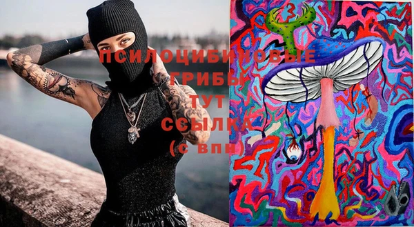 сатива Киреевск